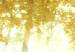 Canvas Print Autumn Forest 62343 additionalThumb 5