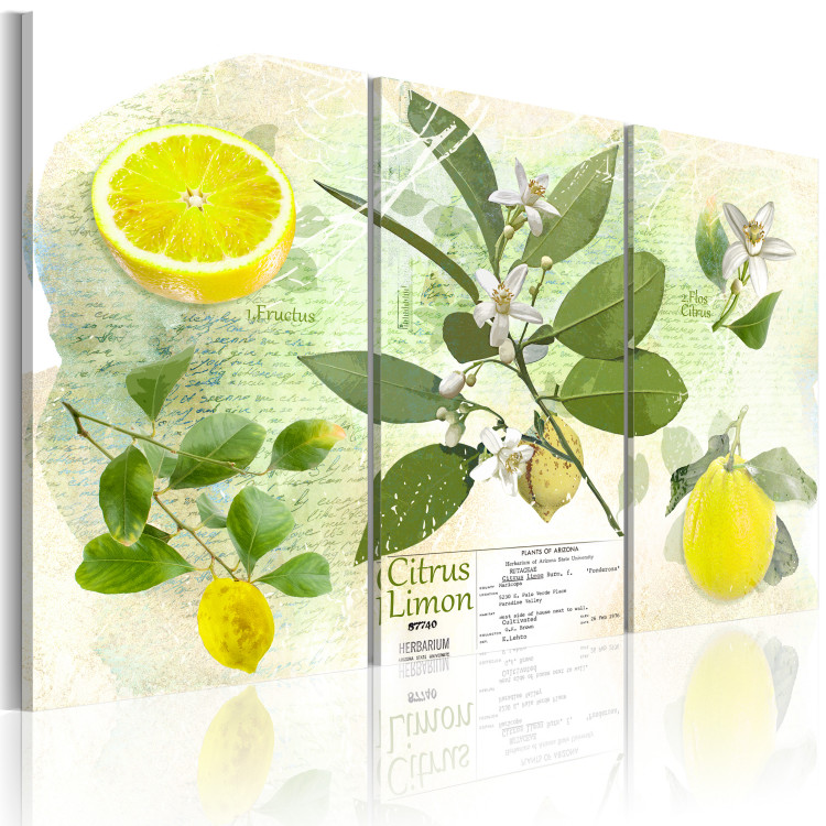 Canvas Fruit: lemon 89943 additionalImage 2