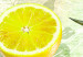 Canvas Fruit: lemon 89943 additionalThumb 4
