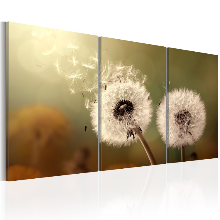 Canvas Print Whisper of Summer (3-piece) - Delicate Dandelions in Breeze 92743 additionalImage 2