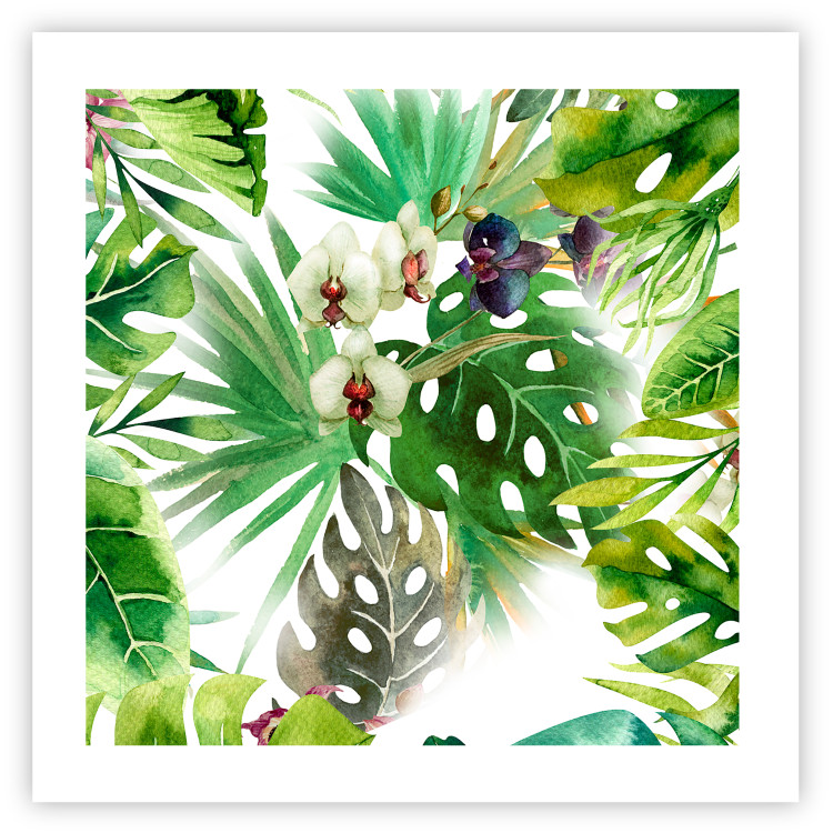 Wall Poster Tropical shadow (square) - botanical composition with green leaves 114353 additionalImage 25