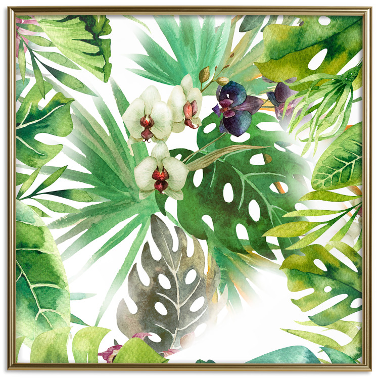 Wall Poster Tropical shadow (square) - botanical composition with green leaves 114353 additionalImage 20