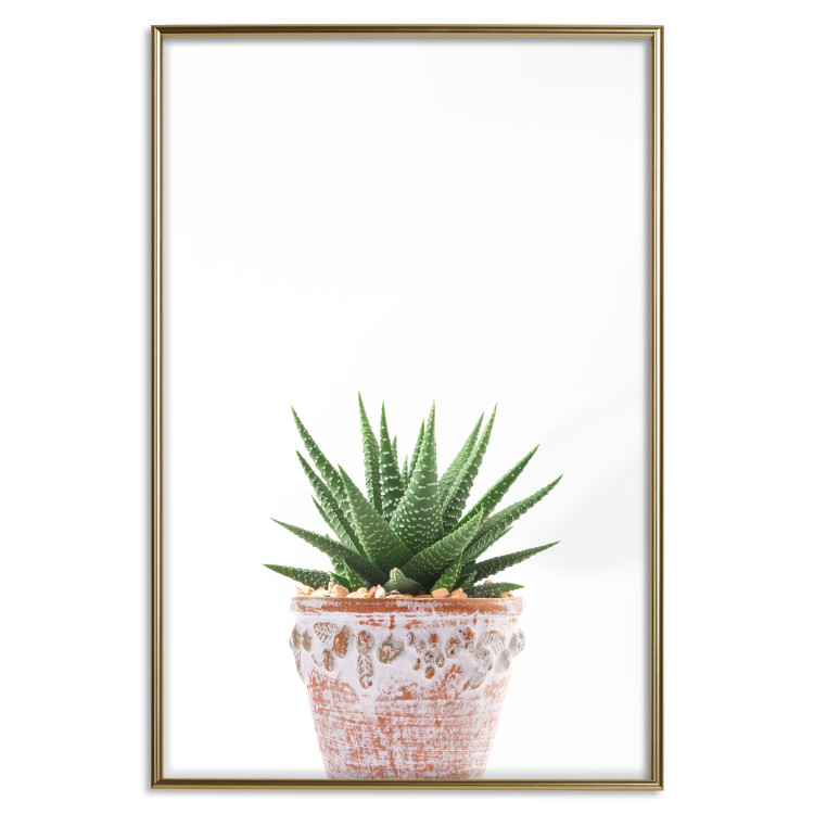 Poster Succulents in Pot - composition with green leaves on a solid background 116653 additionalImage 16