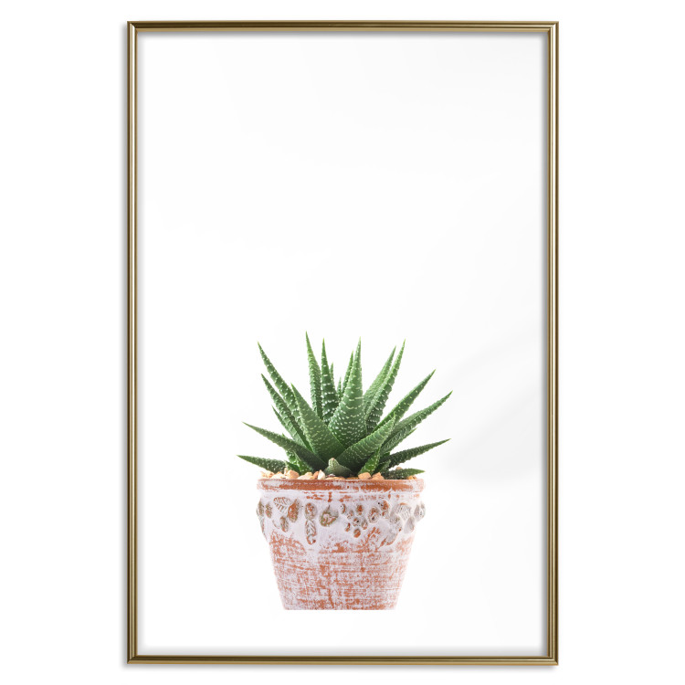 Poster Succulents in Pot - composition with green leaves on a solid background 116653 additionalImage 14