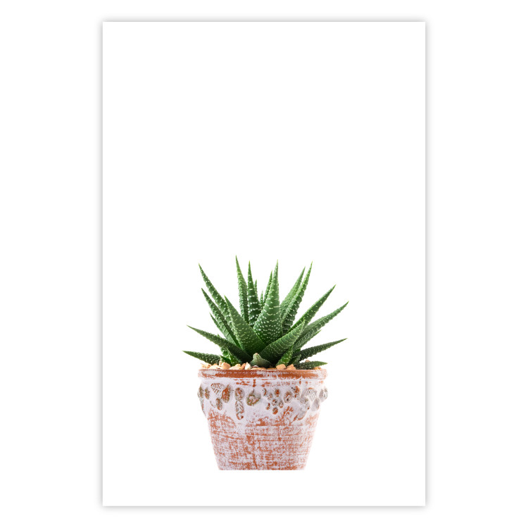 Poster Succulents in Pot - composition with green leaves on a solid background 116653 additionalImage 19