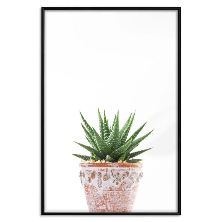 Poster Succulents in Pot - composition with green leaves on a solid background 116653 additionalImage 18