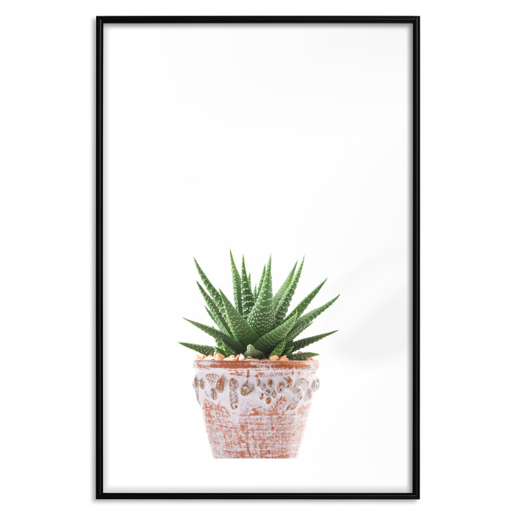 Poster Succulents in Pot - composition with green leaves on a solid background 116653 additionalImage 15