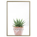 Poster Succulents in Pot - composition with green leaves on a solid background 116653 additionalThumb 16