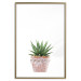 Poster Succulents in Pot - composition with green leaves on a solid background 116653 additionalThumb 14
