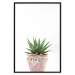 Poster Succulents in Pot - composition with green leaves on a solid background 116653 additionalThumb 18