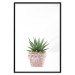 Poster Succulents in Pot - composition with green leaves on a solid background 116653 additionalThumb 15