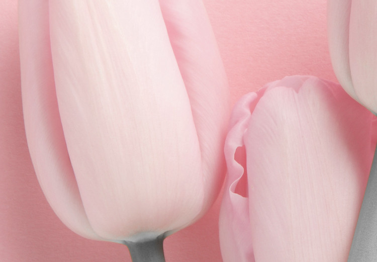 Canvas Art Print Six Tulips (1 Part) Vertical 117853 additionalImage 4