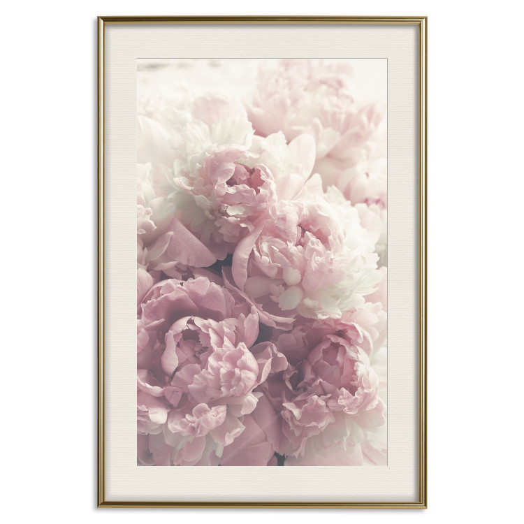 Poster Delicate Peonies - landscape of a field with white and pink flowers 125753 additionalImage 19
