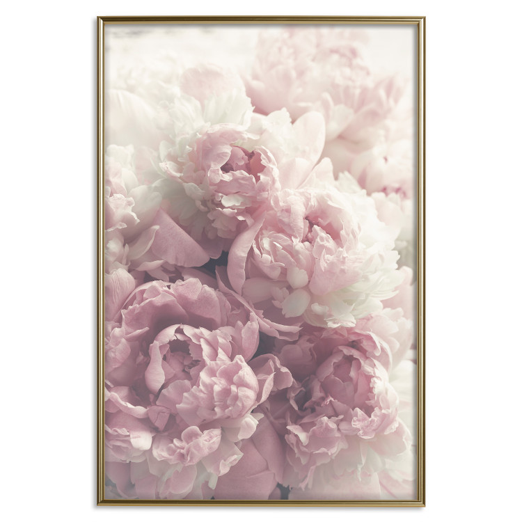 Poster Delicate Peonies - landscape of a field with white and pink flowers 125753 additionalImage 16