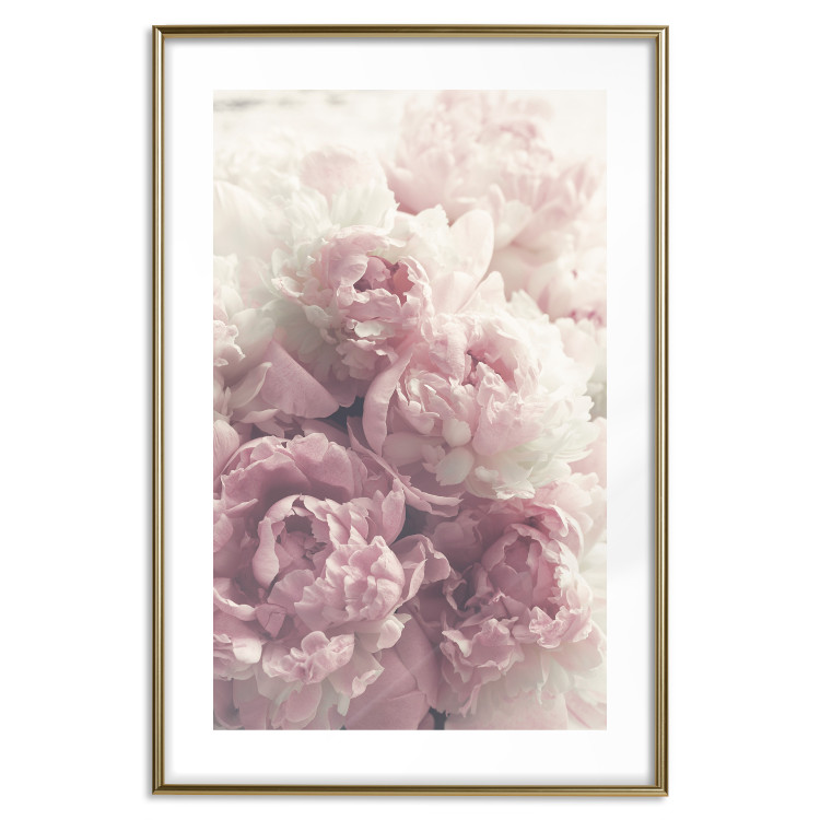 Poster Delicate Peonies - landscape of a field with white and pink flowers 125753 additionalImage 14