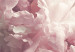 Poster Delicate Peonies - landscape of a field with white and pink flowers 125753 additionalThumb 9