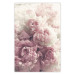 Poster Delicate Peonies - landscape of a field with white and pink flowers 125753