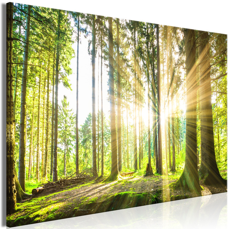 Large canvas print Sunlight [Large Format] 128553 additionalImage 3