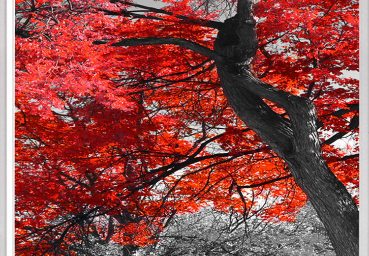 Large canvas print Red Maple II [Large Format] 128753 additionalImage 4
