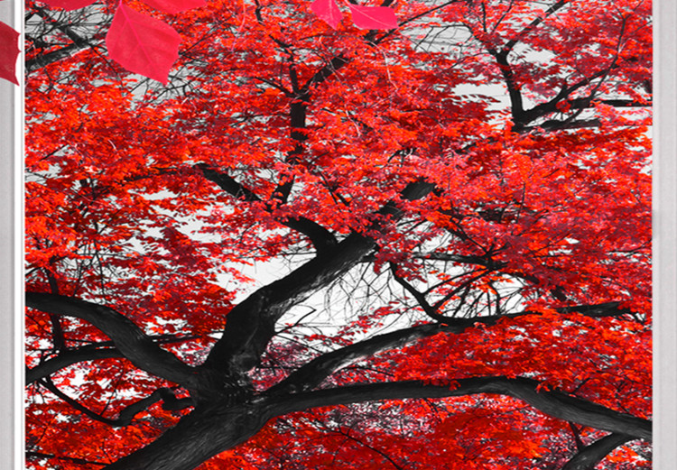Large canvas print Red Maple II [Large Format] 128753 additionalImage 5