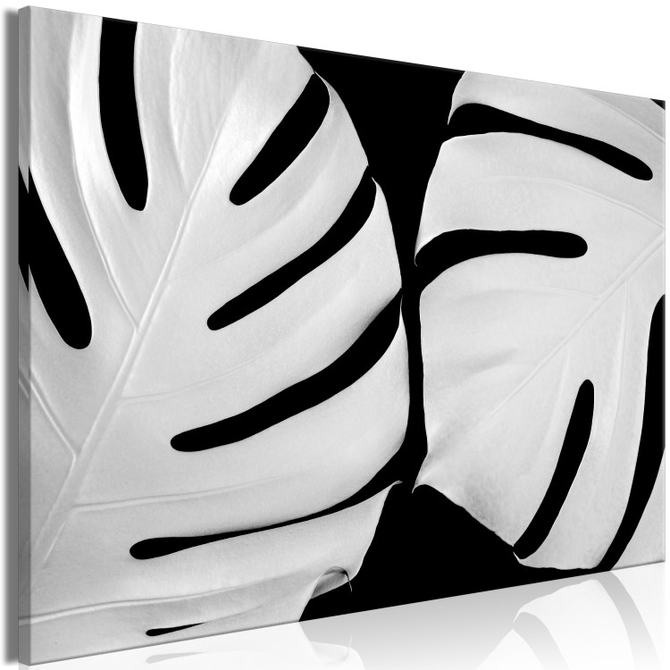 Canvas White Monstera (1-piece) Wide - landscape with black and white leaves 138753 additionalImage 2