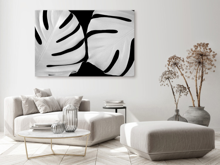 Canvas White Monstera (1-piece) Wide - landscape with black and white leaves 138753 additionalImage 3