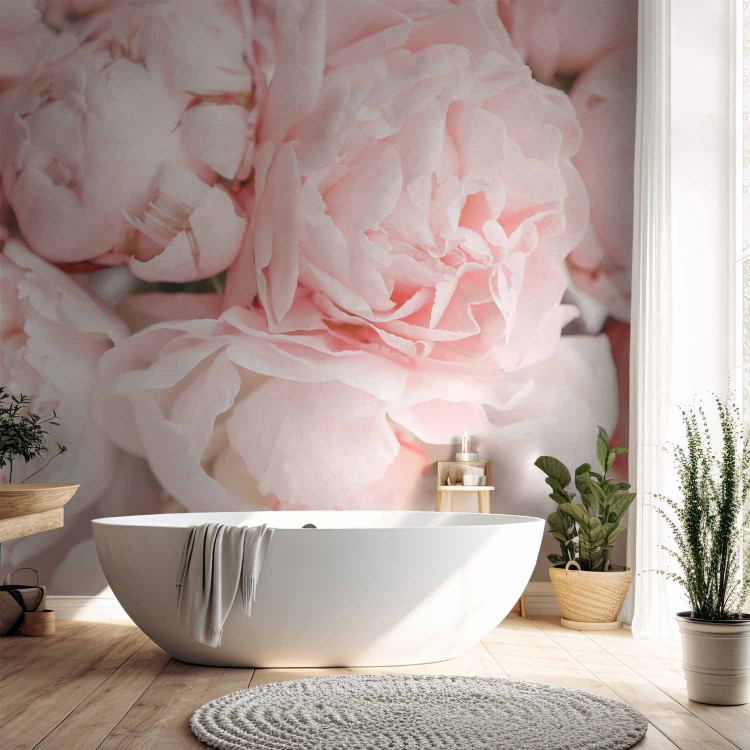 Photo Wallpaper Powder peonies - subtle unified floral motif with close-ups 142653 additionalImage 8