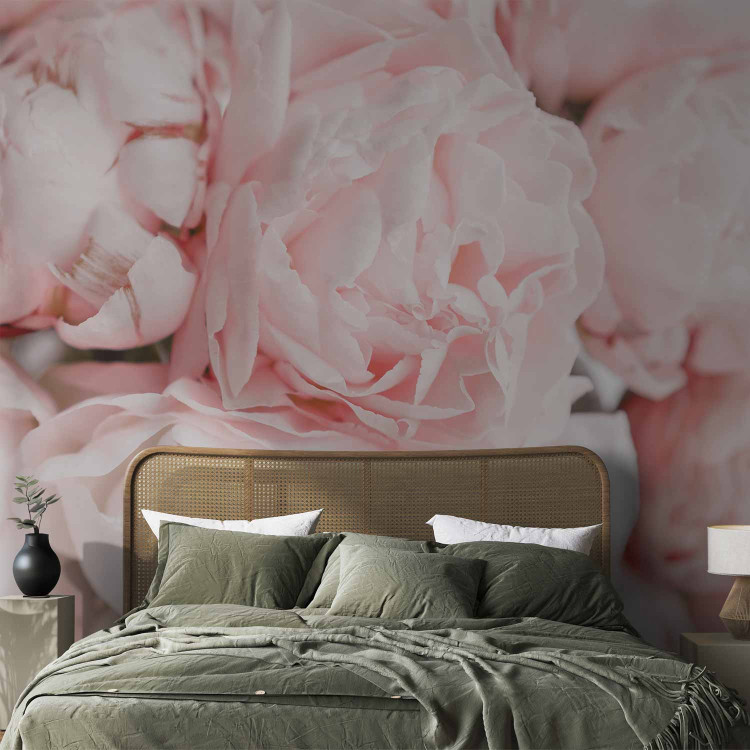 Photo Wallpaper Powder peonies - subtle unified floral motif with close-ups 142653 additionalImage 2