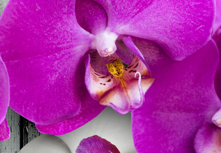 Canvas Art Print Harmony: orchid - Triptych 50453 additionalImage 5
