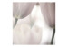 Photo Wallpaper Tulips - Macro Shot of Tulip Flowers in Subtle Shades 60353 additionalThumb 1
