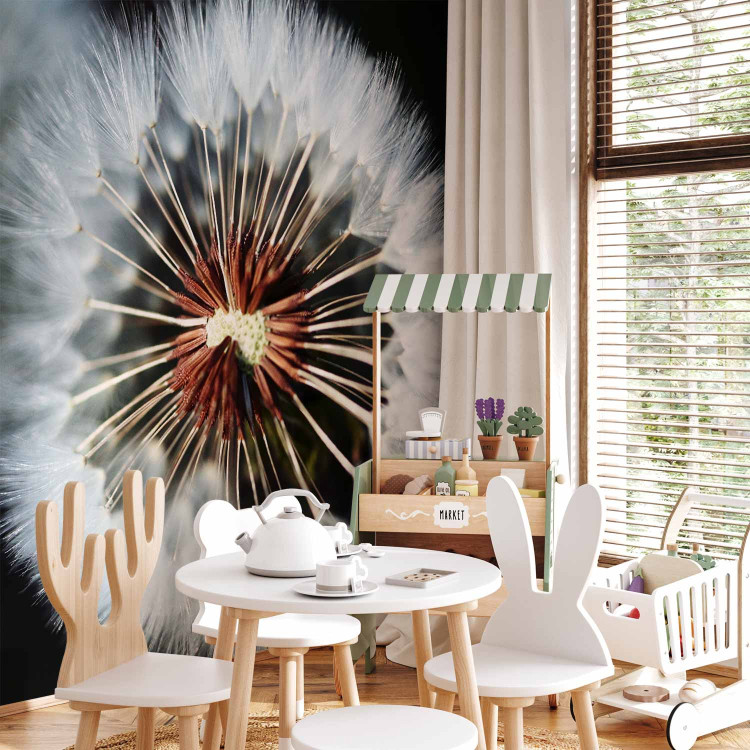 Wall Mural Fluffy Ball - Close-up of Dandelion Flowers in Scandinavian Style 60653 additionalImage 8
