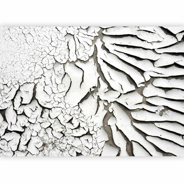Photo Wallpaper Signs of Flowing Time - Texture of cracked dried white paint 61053 additionalImage 1