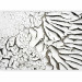 Photo Wallpaper Signs of Flowing Time - Texture of cracked dried white paint 61053 additionalThumb 1