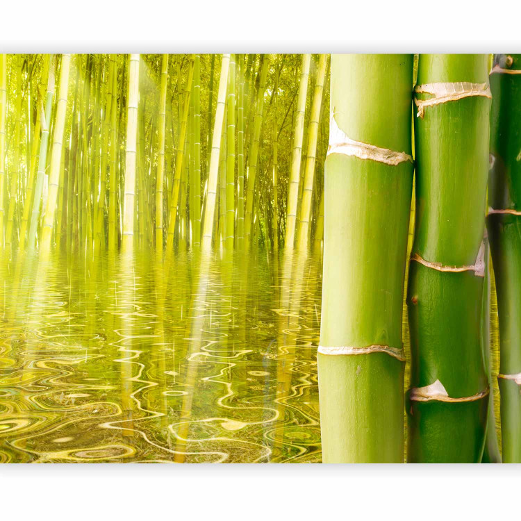 Wall Mural Orient - Nature Capture in Asian Style with Bamboo above Water Surface 61453 additionalImage 5