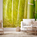 Wall Mural Orient - Nature Capture in Asian Style with Bamboo above Water Surface 61453
