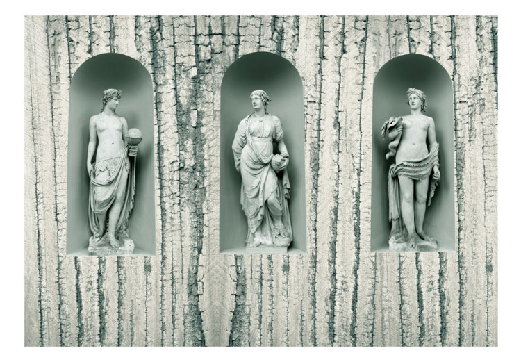 Wall Mural Ancient Wood - three antique figures on a background of white wood 61953 additionalImage 1
