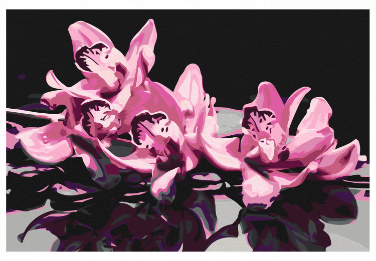 Paint by number Pink Orchid (Black Background) 107163 additionalImage 7