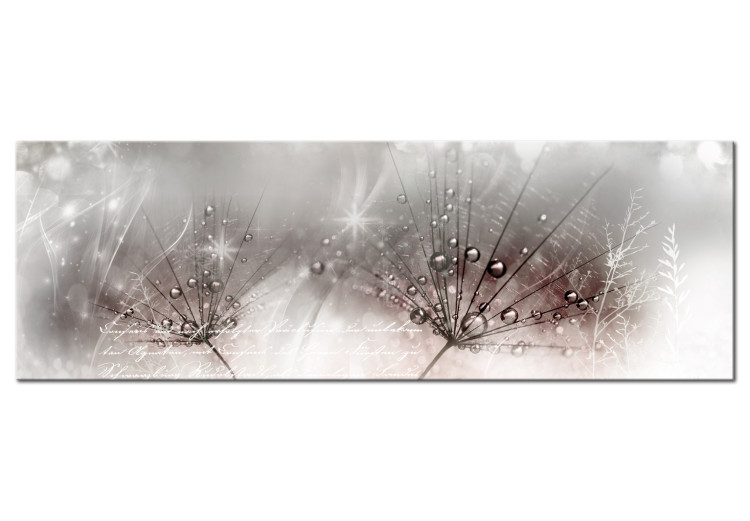Canvas Print Dew Drops (1-part) Narrow - Flowers Surrounded by Pink Glow 107263