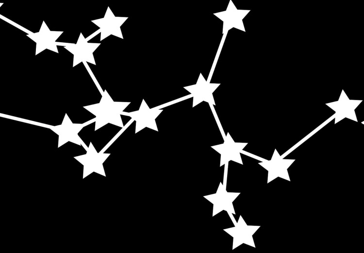 Wall Poster Zodiac signs: Sagittarius - white stars on black with English texts 114863 additionalImage 5