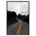 Poster Double continuous line - black and white street landscape among trees and clouds 114963 additionalThumb 18