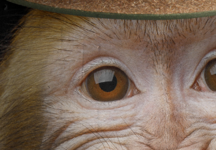 Poster Monkey in a Hat - smiling monkey with mustaches in a cinematic shot 116363 additionalImage 9