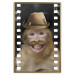 Poster Monkey in a Hat - smiling monkey with mustaches in a cinematic shot 116363 additionalThumb 16