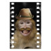 Poster Monkey in a Hat - smiling monkey with mustaches in a cinematic shot 116363