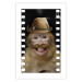 Poster Monkey in a Hat - smiling monkey with mustaches in a cinematic shot 116363 additionalThumb 19