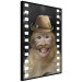Poster Monkey in a Hat - smiling monkey with mustaches in a cinematic shot 116363 additionalThumb 10