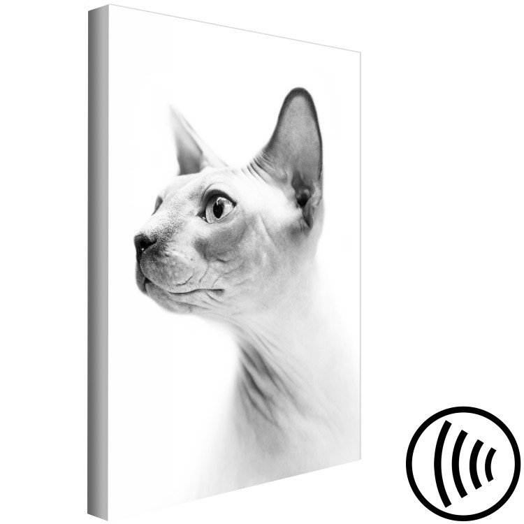 Canvas Print Pensive sphinx - black and white portrait of a cat in white 116463 additionalImage 6
