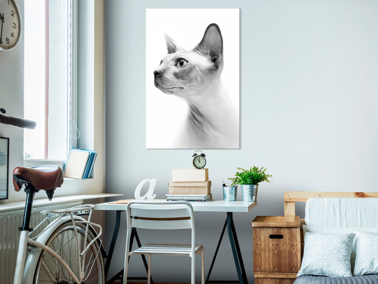 Canvas Print Pensive sphinx - black and white portrait of a cat in white 116463 additionalImage 3