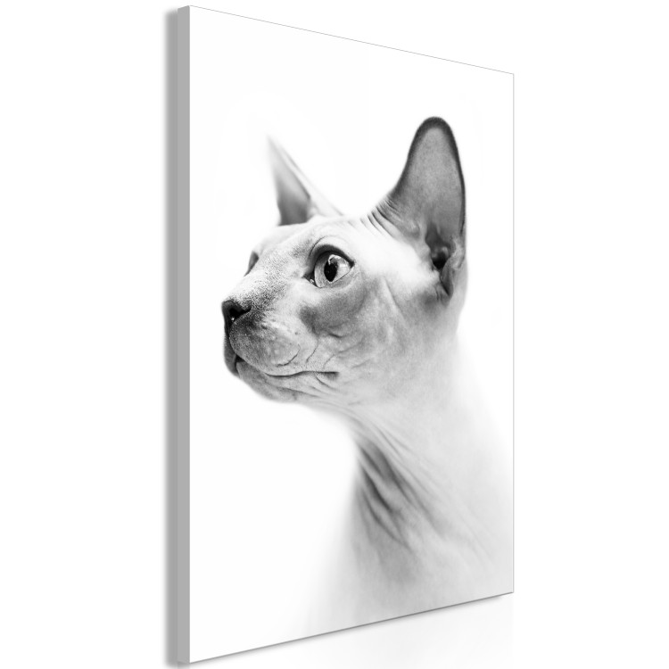 Canvas Print Pensive sphinx - black and white portrait of a cat in white 116463 additionalImage 2