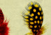 Poster Boho Feathers - abstraction in colorful feathers with dots on a beige background 118163 additionalThumb 8