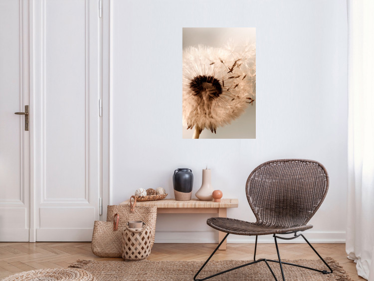 Wall Poster Summer Breeze - blooming dandelion in wind in sepia motif 123763 additionalImage 17